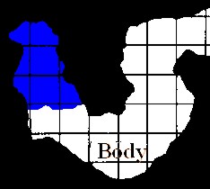 Dungeon Map